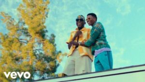 VIDEO: DJ Spinall - Loju ft. Wizkid (Official Music Video)