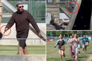 Watch France stabbing video – Man Stabs Baby in Pram at Park in France – Casually Walks Around