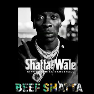 SHATTA WALE - BEEF SHATTA