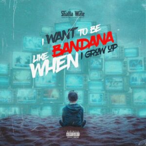 Shatta Wale - I Want to Be Like Bandana