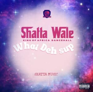 Shatta Wale - What Deh Sup