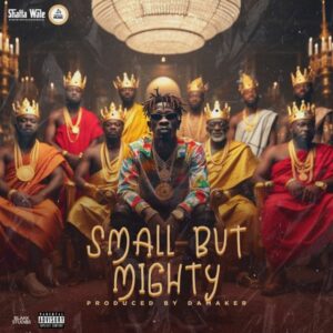 Shatta Wale - Small But Mighty