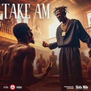 Shatta Wale - Take Am