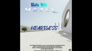 Shatta Wale - Heartless