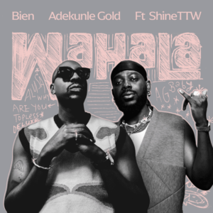 Bien - Wahala ft. Adekunle Gold & ShineTTW