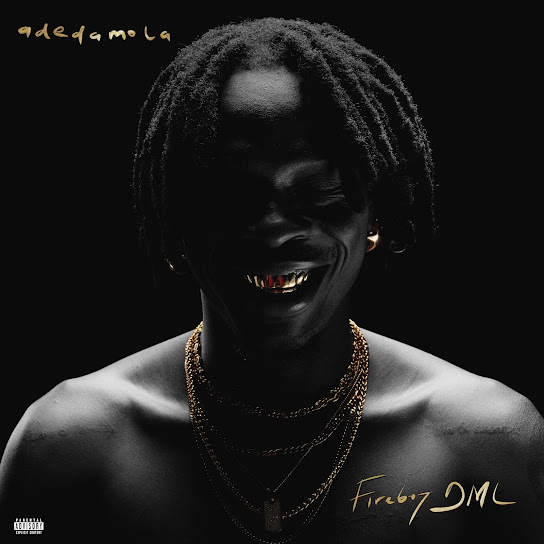 Fireboy DML (feat. Seun Kuti) - ecstasy - adedamola